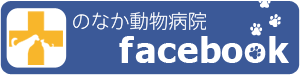 フェイスブック